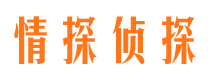 定远市侦探调查公司